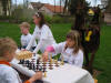 Schach mit Staben